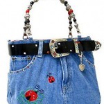 Jean Purse W/ Belt & Key Chain/Lady Bug (BG-BJ115/M)